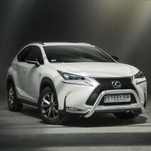 NX F-Sport