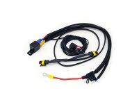 LAZER Two-Lamp Wiring kit with Switch